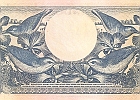 P65-5-verso