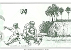 amazonia-verso
